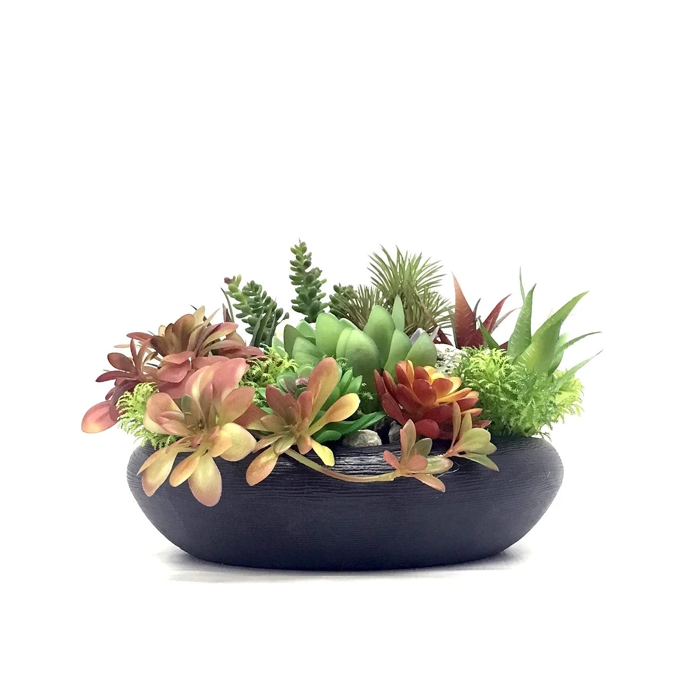 Articial Succulent Plant | ART47