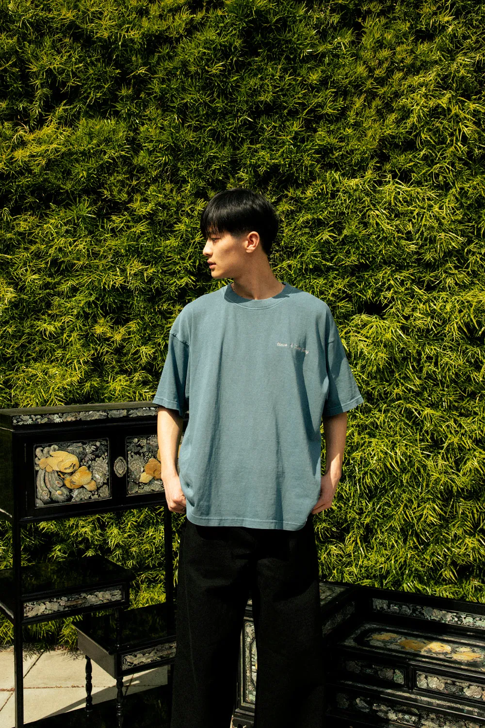 HAVE A NICE DAY TEE (SLATE)